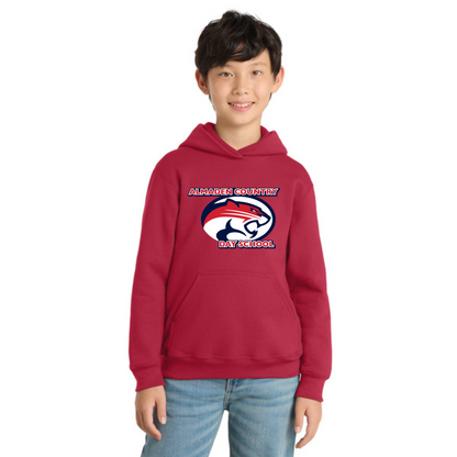 Port & Company® Youth Core Fleece Pullover Hooded Sweatshirt (Cougar Pride 2026)