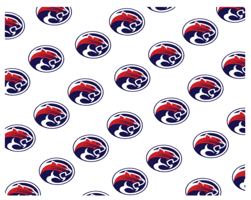 ACDS Microfleece Blanket