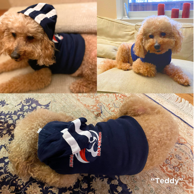 Doggie Skins Baby Rib Gameday Hoodie