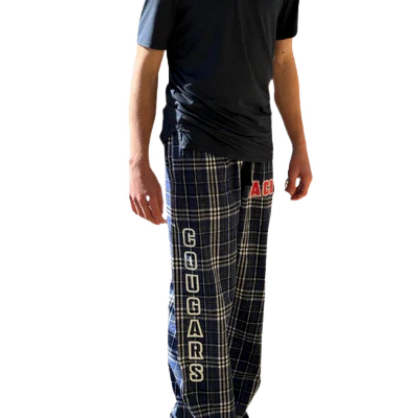 Pennant Flannel Pants